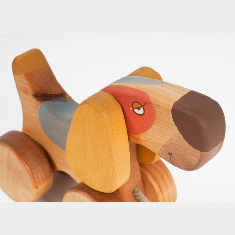 Medinis šuniukas su pavadėliu