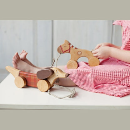 Medinis šuniukas sunpavadėliu