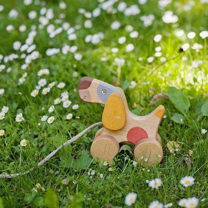 Medinis šuniukas su pavadėliu