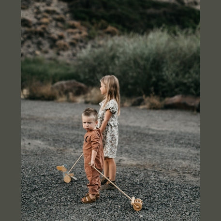 Medinė vėjapjovė su ratukais