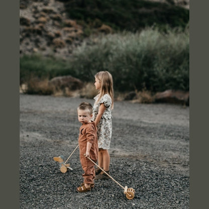 Medinė vėjapjovė su ratukais