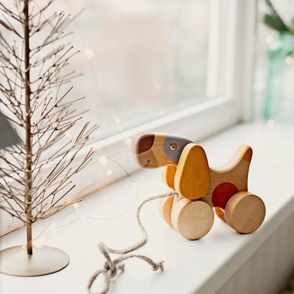 Medinis šuniukas su pavadėliu