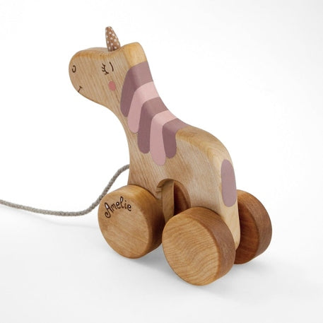 Vienaragis su pavadėliu