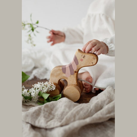 Vienaragis su pavadėliu