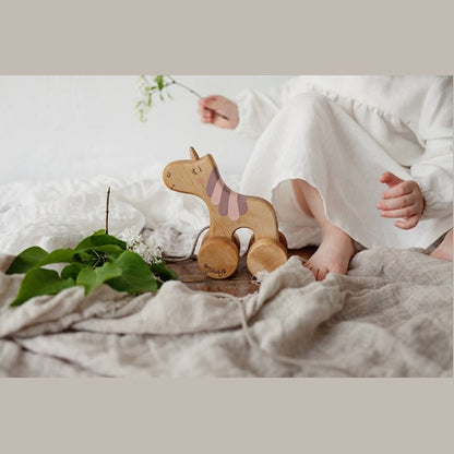 Vienaragis su pavadėliu