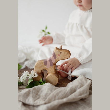 Vienaragis su pavadėliu