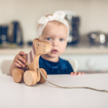 Vienaragis su pavadėliu