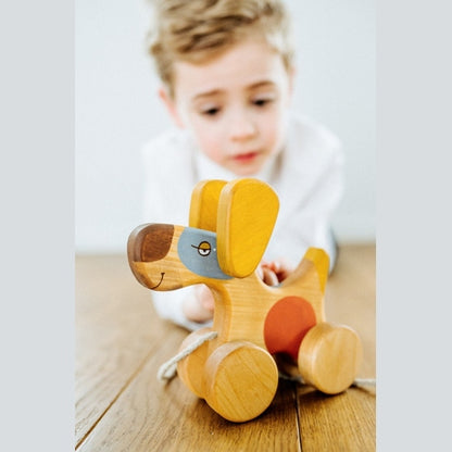 Medinis šuniukas su pavadėliu