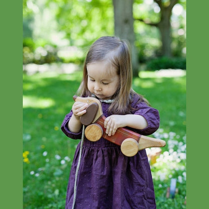 Medinis šuniukas sunpavadėliu