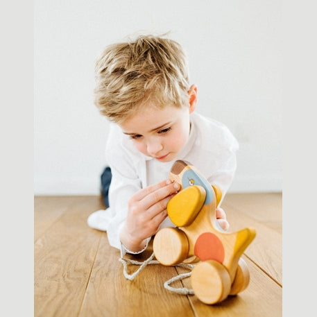 Medinis šuniukas su pavadėliu