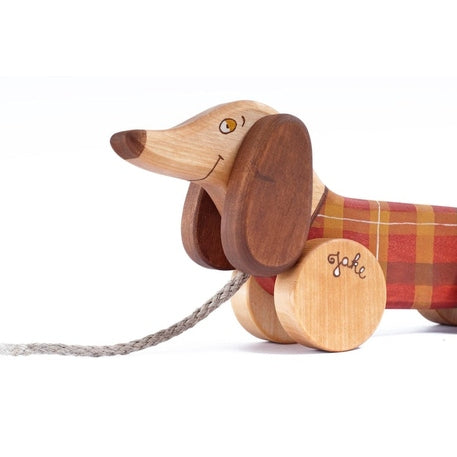 Medinis šuniukas sunpavadėliu