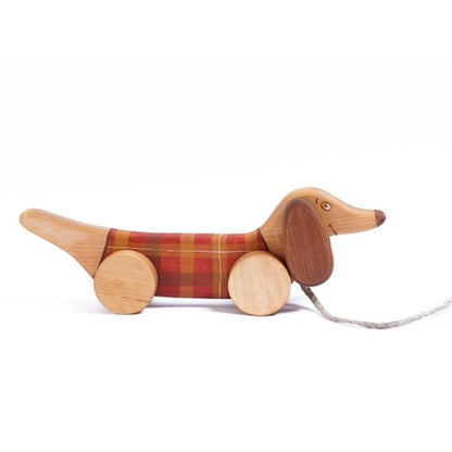 Medinis šuniukas sunpavadėliu