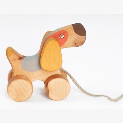 Medinis šuniukas su pavadėliu