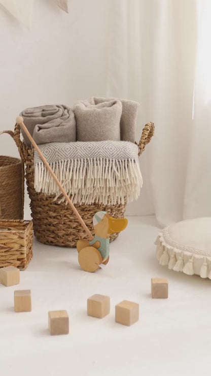 Stumiamas ančiukas su ratukais